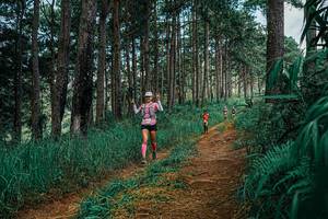 BIB: 
                            <button type="button" onclick="openModal(25752030)" class="btn btn-primary btn-sm float-right btn-popup" data-toggle="modal" data-target=".modal-high-quality">
                        <i class="fas fa-shopping-cart"></i> Add to Cart
                    </button>
                                            <button type="button" onclick="isThisMe(25752030, true)" class="btn btn-success btn-sm float-right btn-popup btn-isme hidden" data-toggle="tooltip" data-placement="bottom" title="นี่คือรูปของคุณใช่ไหม คลิกที่นี่เพื่อเอาเข้าอัลบั้ม">
                        <i class="fas fa-plus"></i> Add to album
                    </button>
                    <button type="button" onclick="isThisMe(25752030, false)" class="btn btn-warning btn-sm float-right btn-popup btn-isnotme hidden">
                        <i class="fas fa-ban"></i> Remove from album
                    </button>